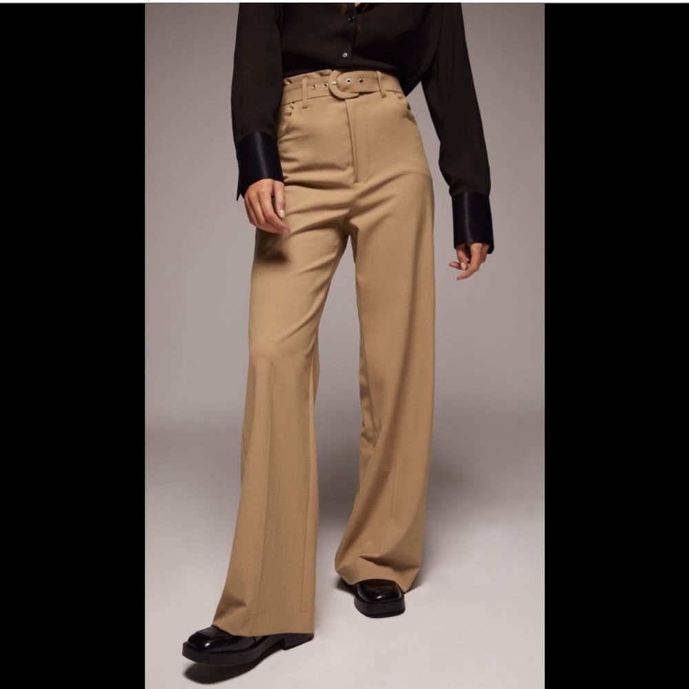 Zara Wide Leg Belted Pants - Taupe Brown